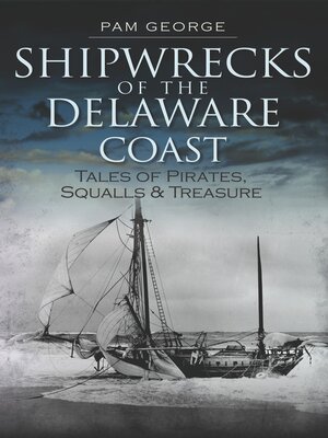 cover image of Shipwrecks of the Delaware Coast